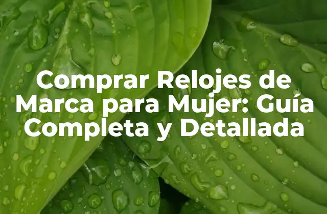 Comprar Relojes de Marca para Mujer: Guía Completa y Detallada