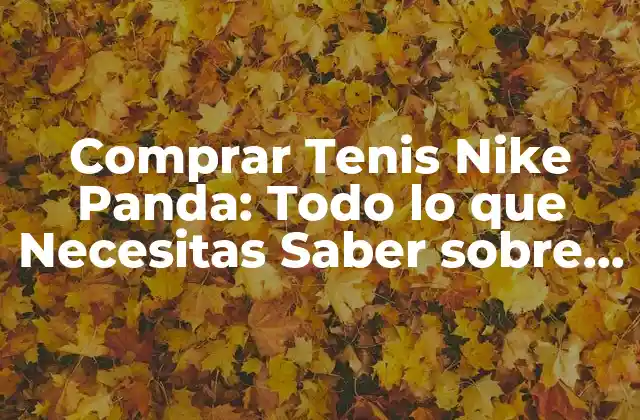Comprar Tenis Nike Panda: Todo Lo que Necesitas Saber sobre los Más Vendidos