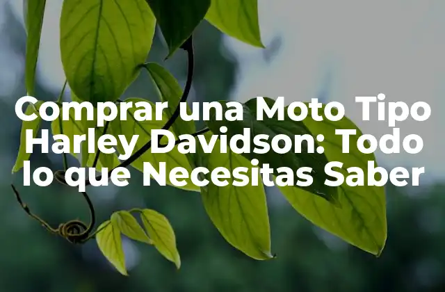 Comprar una Moto Tipo Harley Davidson: Todo Lo que Necesitas Saber