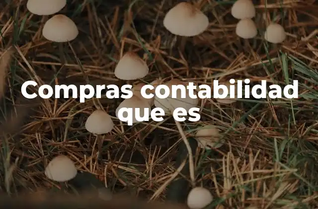 Compras Contabilidad que es