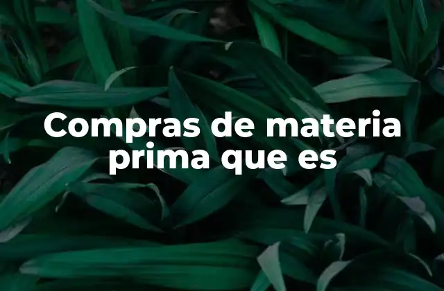 Compras de Materia Prima que es