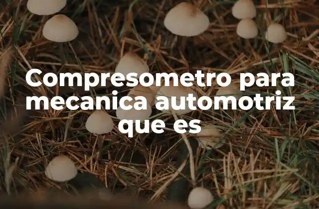 Compresometro para Mecanica Automotriz que es