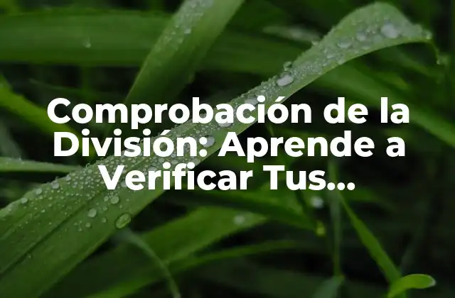 Comprobación de la División: Aprende a Verificar Tus Respuestas