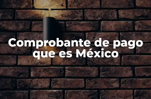 Comprobante de Pago que es México