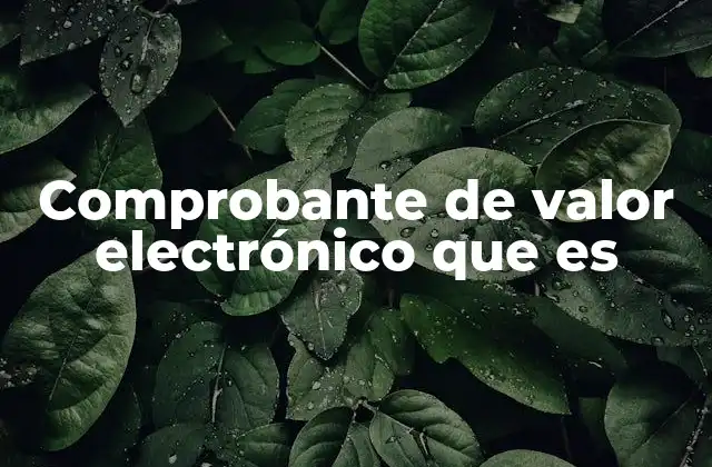 Comprobante de Valor Electrónico que es