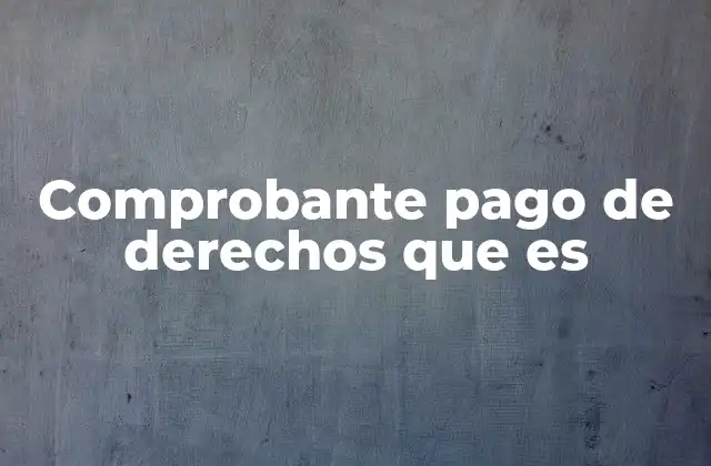 Comprobante Pago de Derechos que es