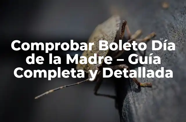 Comprobar Boleto Día de la Madre - Guía Completa y Detallada 2 ¿Por qué es importante comprobar un boleto antes de comprarlo?