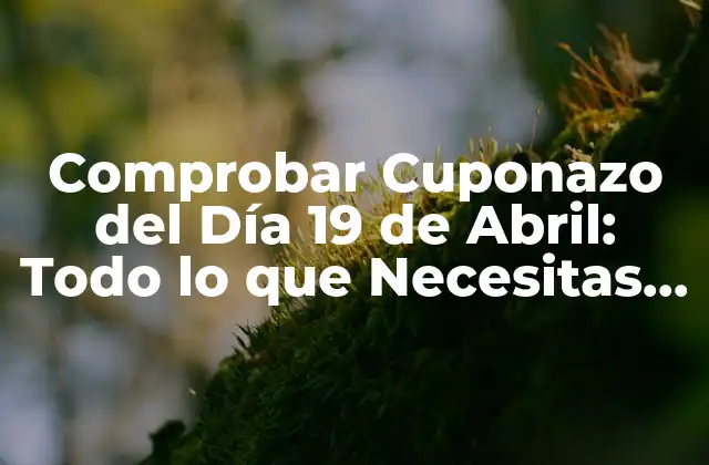 Comprobar Cuponazo Del Día 19 de Abril: Todo Lo que Necesitas Saber