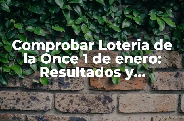 Comprobar Loteria de la Once 1 de Enero: Resultados y Ganadores