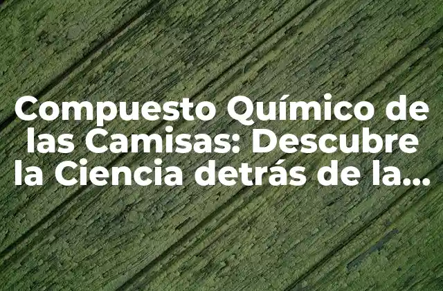 Compuesto Químico de las Camisas: Descubre la Ciencia Detrás de la Freshness