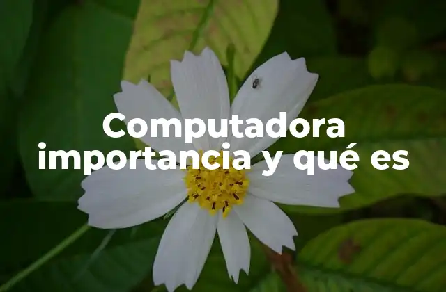 Computadora Importancia y Qué es