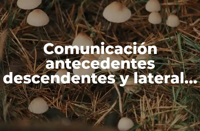 Comunicación Antecedentes Descendentes y Lateral que es