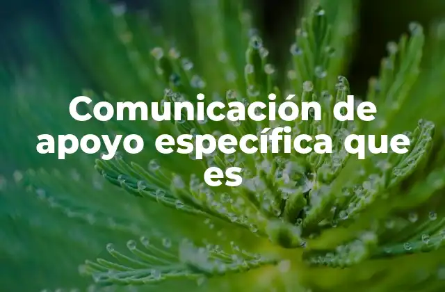 Comunicación de Apoyo Específica que es