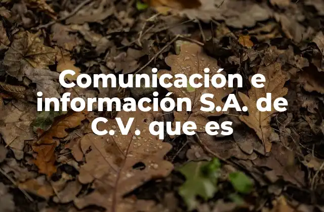 Comunicación e Información S.a. de C.v. que es