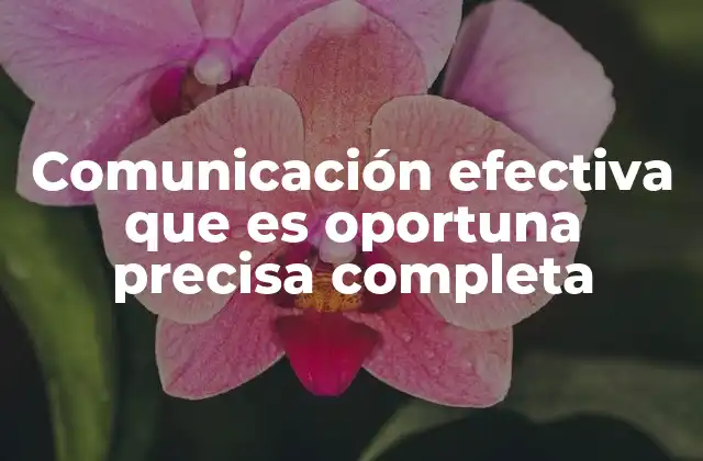 Comunicación Efectiva que es Oportuna Precisa Completa