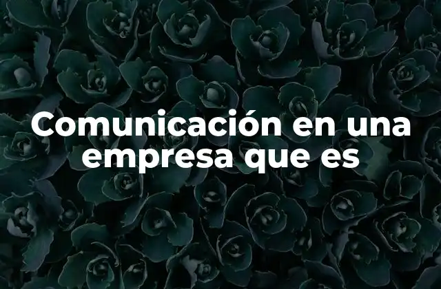 Comunicación en una Empresa que es