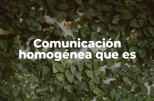 Comunicación Homogénea que es 2 La importancia de la coherencia en los canales de comunicación