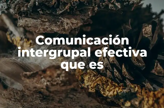 Comunicación Intergrupal Efectiva que es