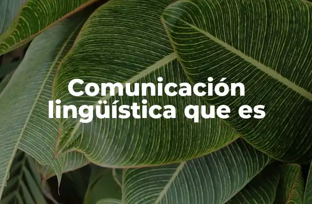 Comunicación Lingüística que es