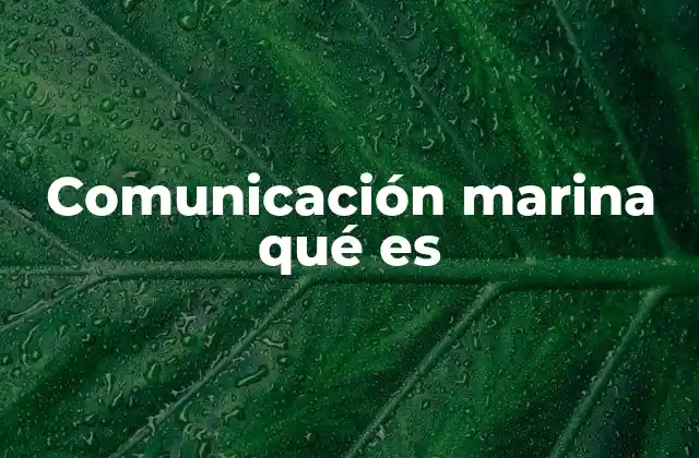 Comunicación Marina Qué es