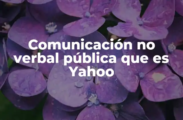 Comunicación No Verbal Pública que es Yahoo