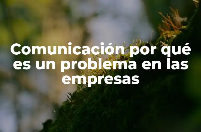 Comunicación por Qué es un Problema en las Empresas