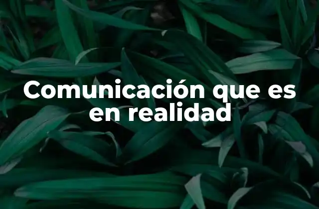 Comunicación que es en Realidad