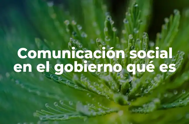 Comunicación Social en el Gobierno Qué es