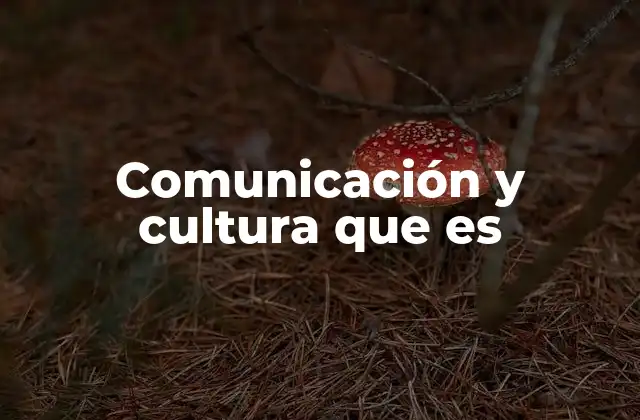 Comunicación y Cultura que es
