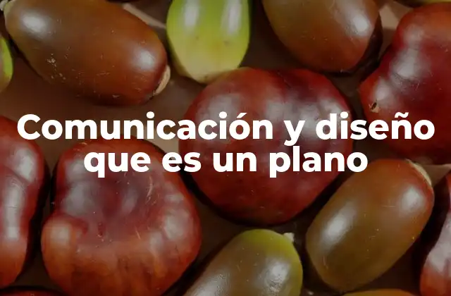 Comunicación y Diseño que es un Plano
