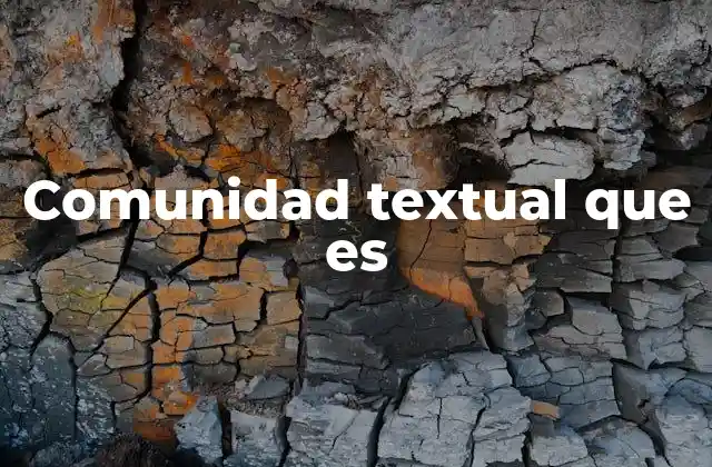 Comunidad Textual que es