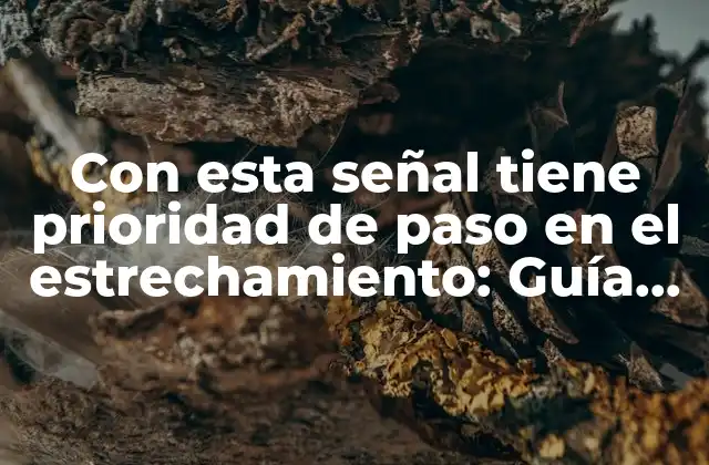 Con Esta Señal Tiene Prioridad de Paso en el Estrechamiento: Guía Completa