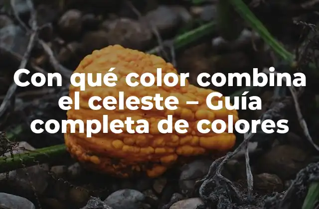 Con Qué Color Combina el Celeste - Guía Completa de Colores 2 ¿Por qué es importante combinar colores correctamente?