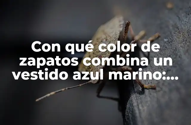 Con Qué Color de Zapatos Combina un Vestido Azul Marino: una Guía Completa