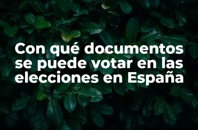 Con Qué Documentos Se Puede Votar en las Elecciones en España 2 Documentos obligatorios para votar en España