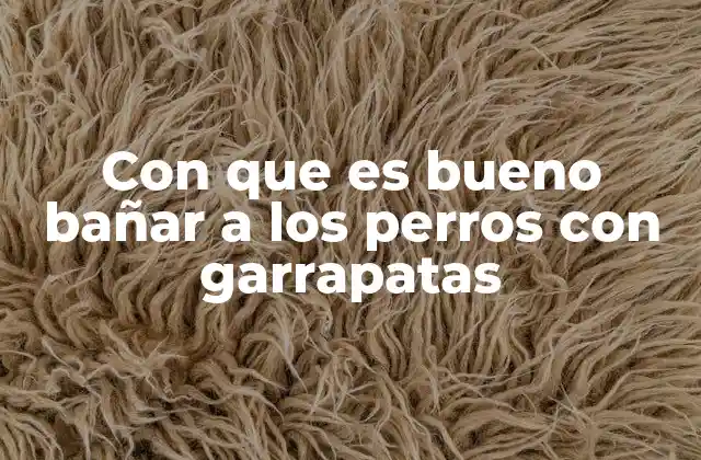 Con que es Bueno Bañar a los Perros con Garrapatas 2 Cómo preparar a tu perro para un baño antiparasitario