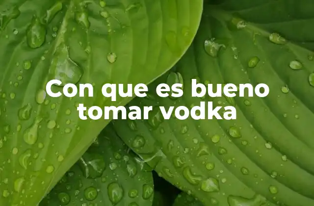 Cómo complementar el consumo de vodka con alimentos