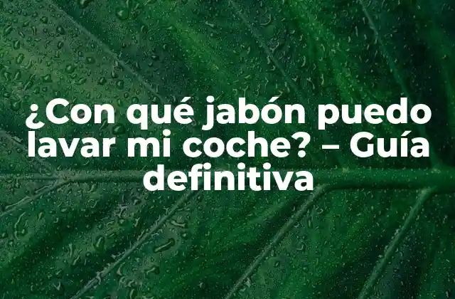 ¿con Qué Jabón Puedo Lavar Mi Coche? - Guía Definitiva 2 ¿Cuáles son los tipos de jabón para lavar coches?