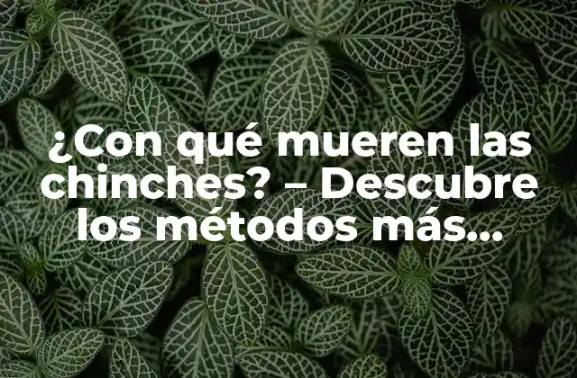 ¿con Qué Mueren las Chinches? – Descubre los Métodos Más Efectivos para Eliminarlas