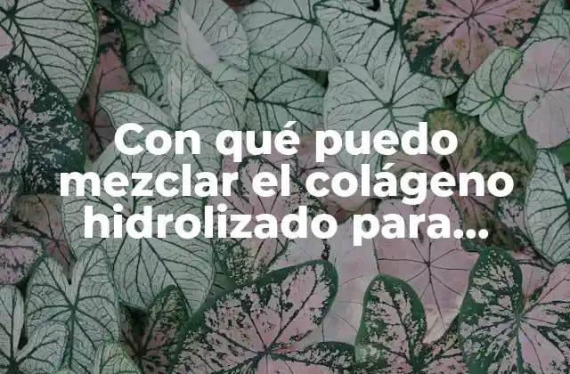 Con Qué Puedo Mezclar el Colágeno Hidrolizado para Maximizar Sus Beneficios