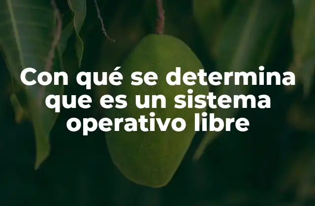 Con Qué Se Determina que es un Sistema Operativo Libre