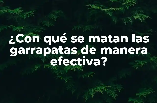 ¿con Qué Se Matan las Garrapatas de Manera Efectiva? 2 ¿Cuáles son los métodos más comunes para matar garrapatas?