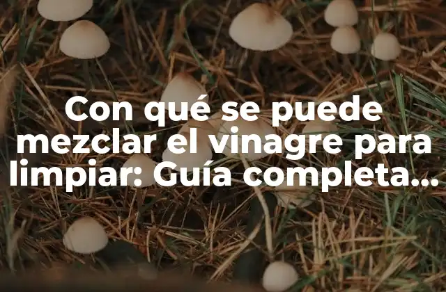 Con Qué Se Puede Mezclar el Vinagre para Limpiar: Guía Completa y Sostenible