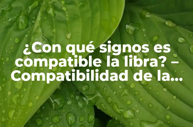 ¿con Qué Signos es Compatible la Libra? – Compatibilidad de la Libra con Otros Signos