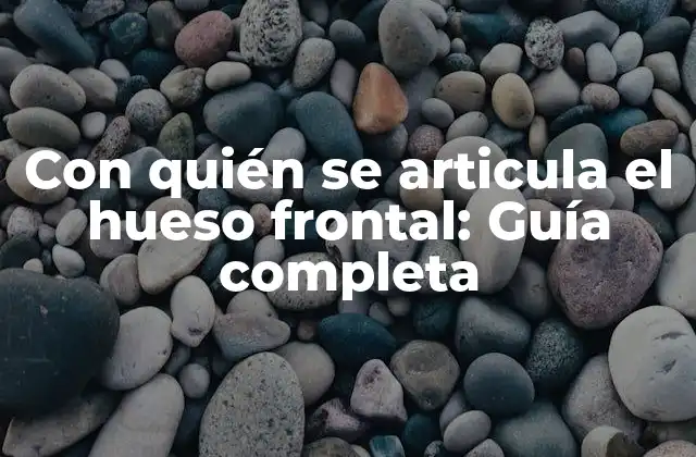 Con Quién Se Articula el Hueso Frontal: Guía Completa