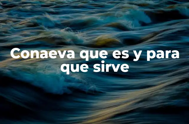 Conaeva que es y para que Sirve