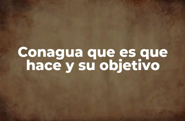 Conagua que es que Hace y Su Objetivo