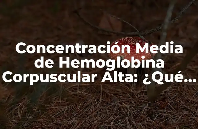 Concentración Media de Hemoglobina Corpuscular Alta: ¿qué Significa y por Qué es Importante?