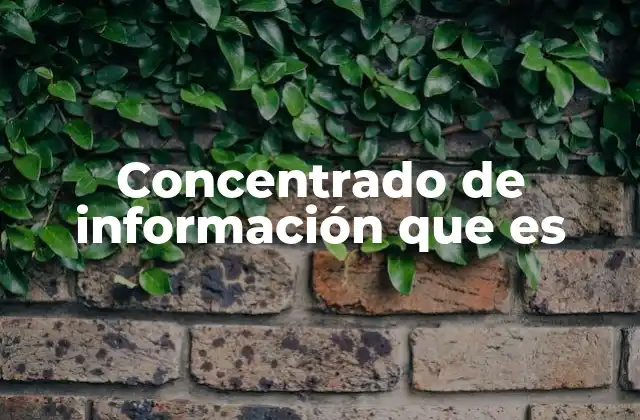 Concentrado de Información que es