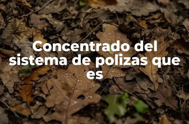 Concentrado Del Sistema de Polizas que es
